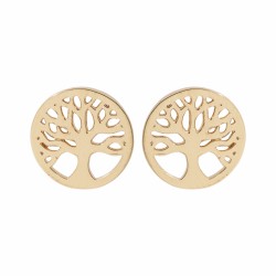 Boucles d'oreilles...