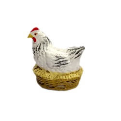 Poule qui couve blanche,...