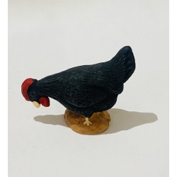Poule noire picorante,...