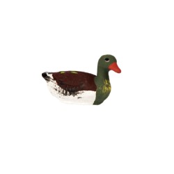 Canard col vert, santon...