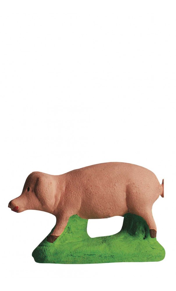 cochon